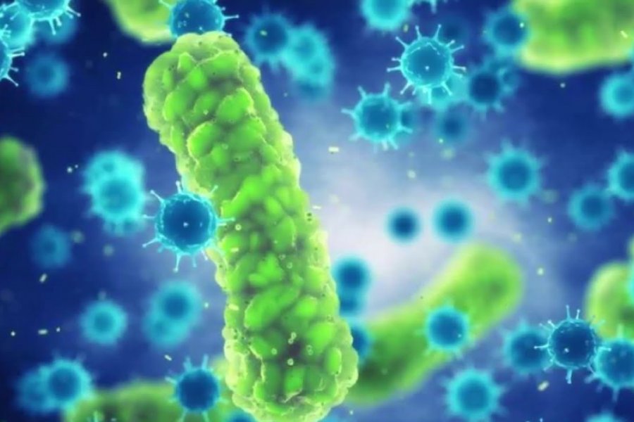 Nature: Инфекционные вирусы и бактерии обладают эпигенетическими воспоминаниями