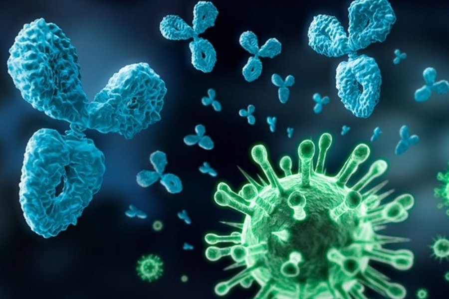 Клинический микробиолог Газина: судить о силе иммунного ответа ковиду по количеству антител нельзя