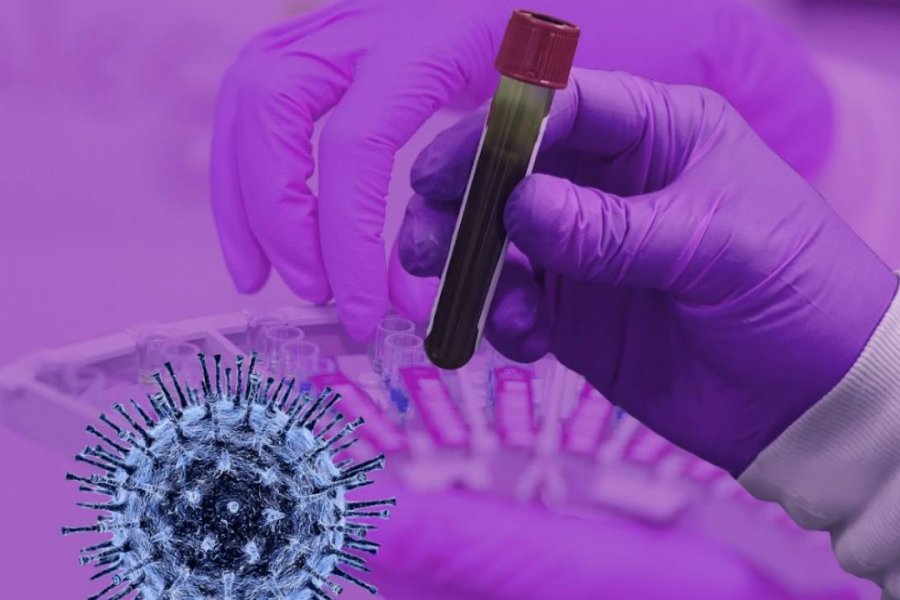 Какое антитело защищает от всех вариантов коронавируса? Открытие ученых дает надежду на спасение каждому