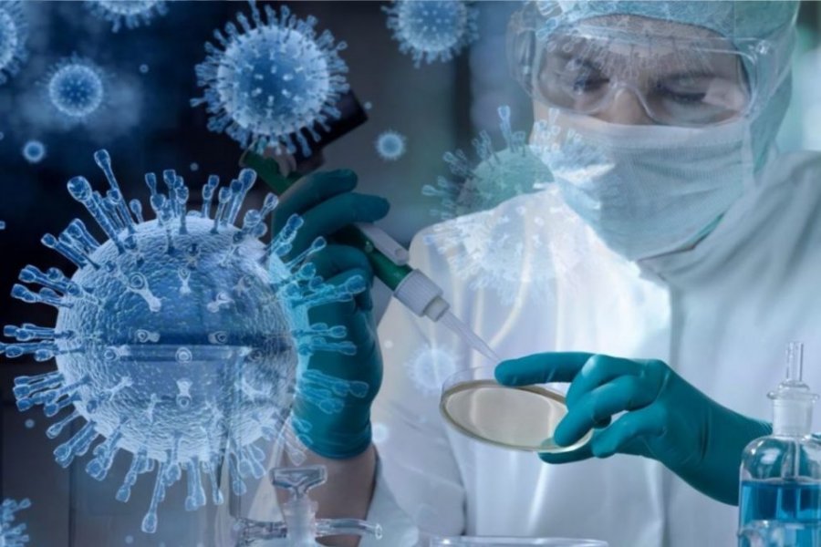 Lancet распустил исследовавшую происхождение коронавируса COVID-19 группу ученых