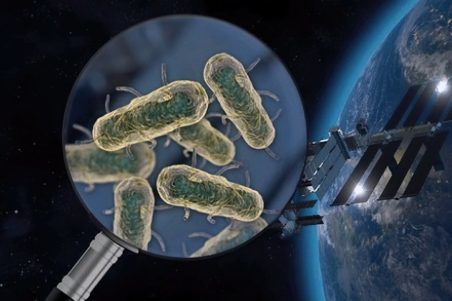 Bioscience: Из-за космических исследований люди могут заразиться внеземными вирусами