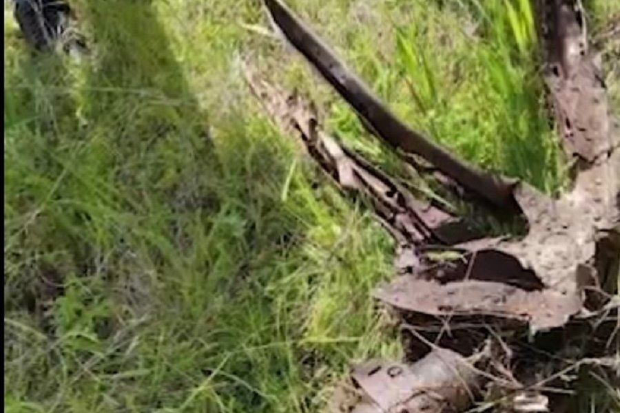 В Ростовской области взорвался летевший со стороны Украины беспилотник